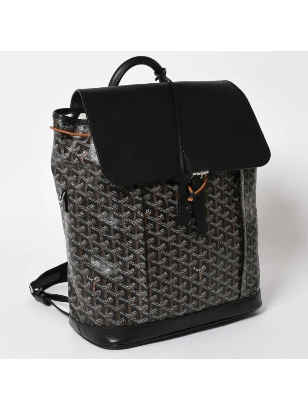 Goyard Alpine MM Backpack Leather Black